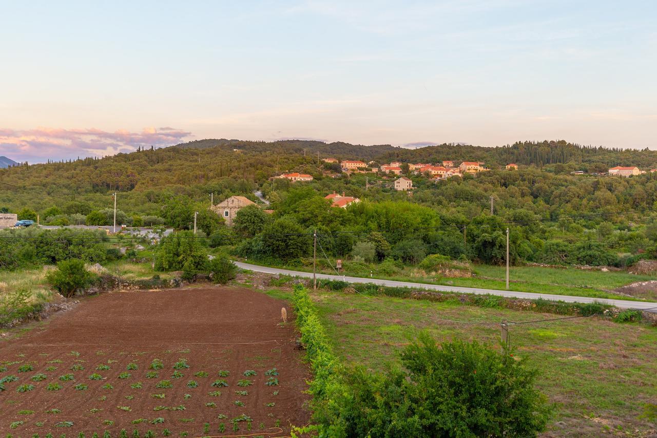 Konavle Apartments Zlatovisce Gruda Екстер'єр фото